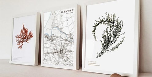 Coast and Wild Seaweed and Vintage Map Prints